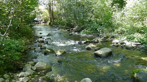 Bord de l’eau à Bernex