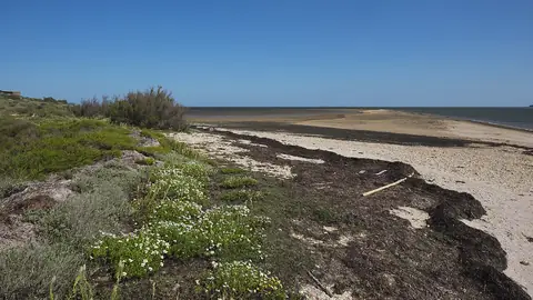 Bord de mer à Gruissan