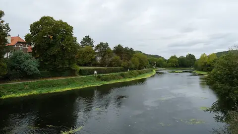 Bord de l’eau à Guichen, près de Montgermont