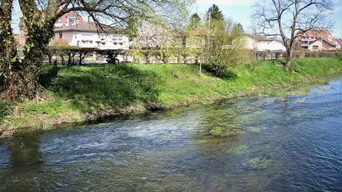 Bord de l’eau à Herrlisheim-près-Colmar, près de Rixheim
