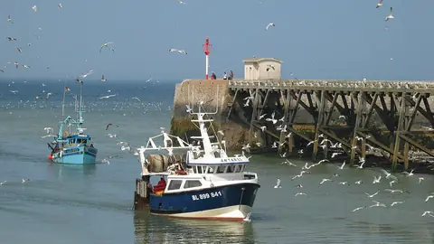 Port de Le Tréport