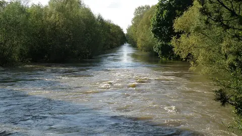 Bord de l’eau à Saint-Étienne
